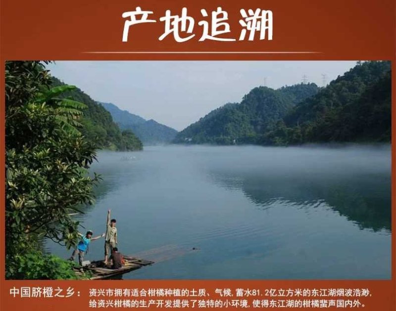 东江湖清江脐橙一件代发
