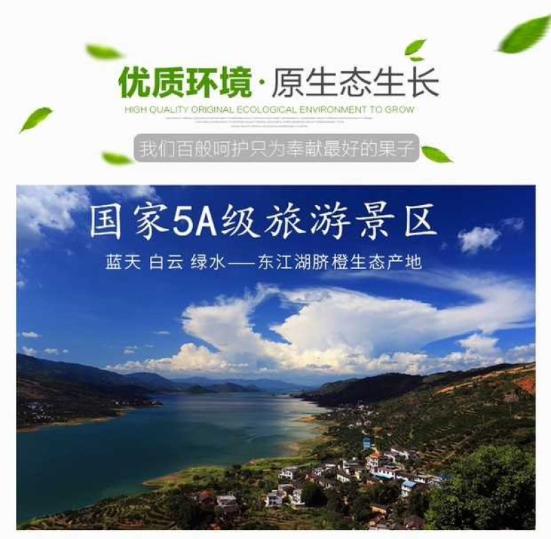 东江湖清江脐橙一件代发