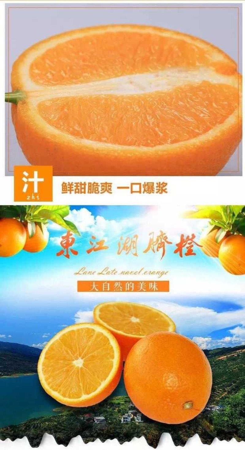 东江湖清江脐橙一件代发