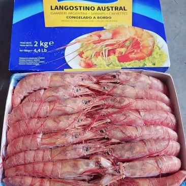 阿根廷红虾L1黑盒