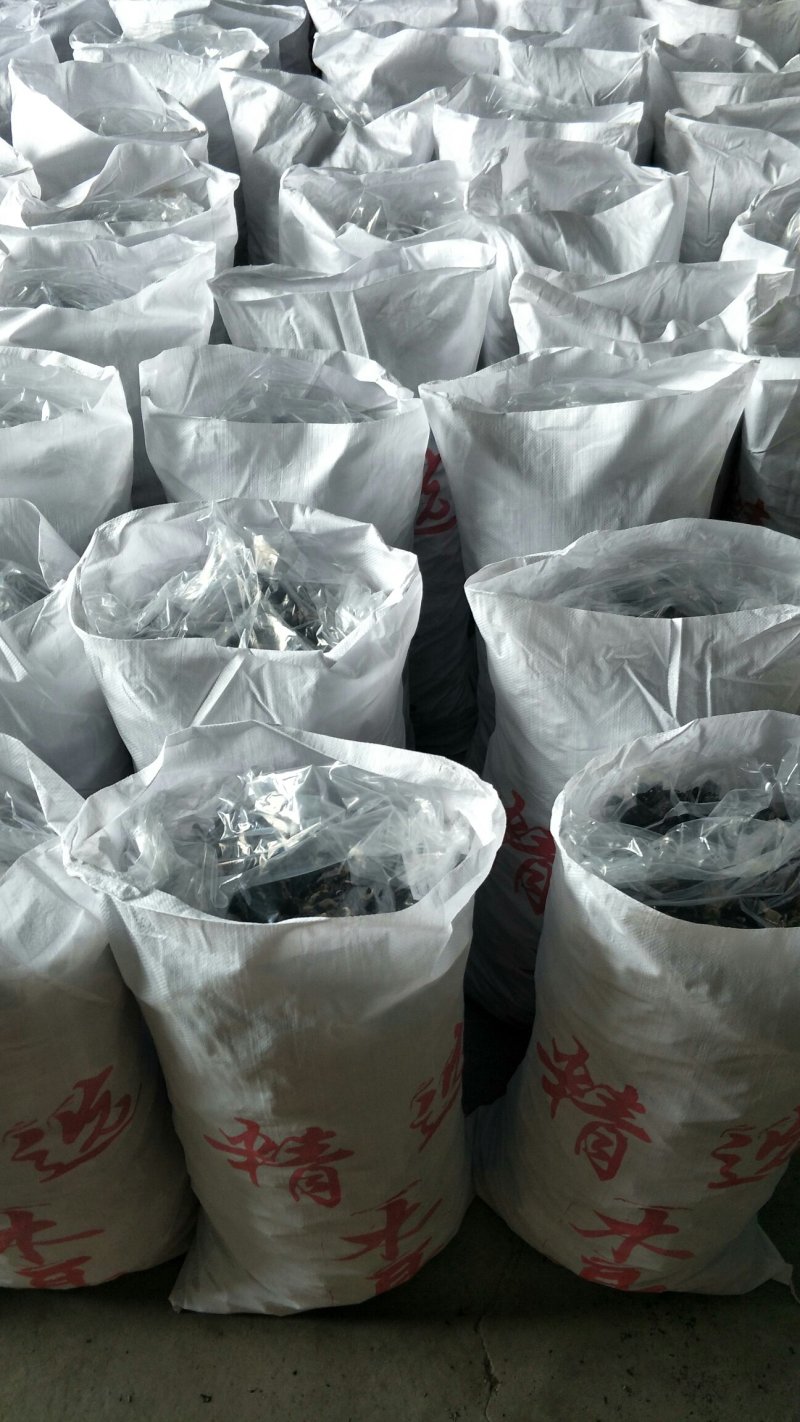 毛木耳水洗三公分以上产地直销品种齐全，量大价优