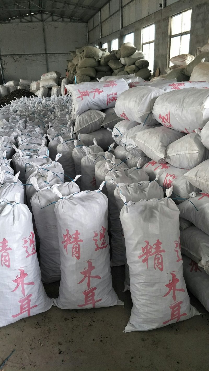 毛木耳水洗三公分以上产地直销品种齐全，量大价优