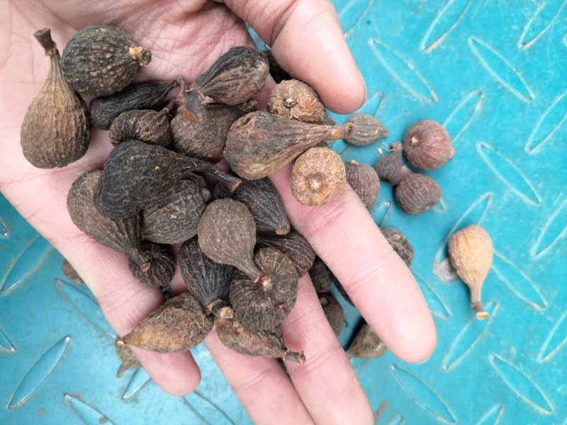 无硫无花果干无花果批发各种花茶量大价优