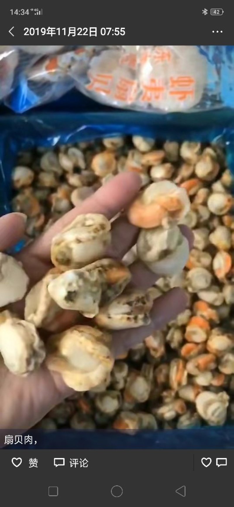 扇贝肉批发价厂家直销