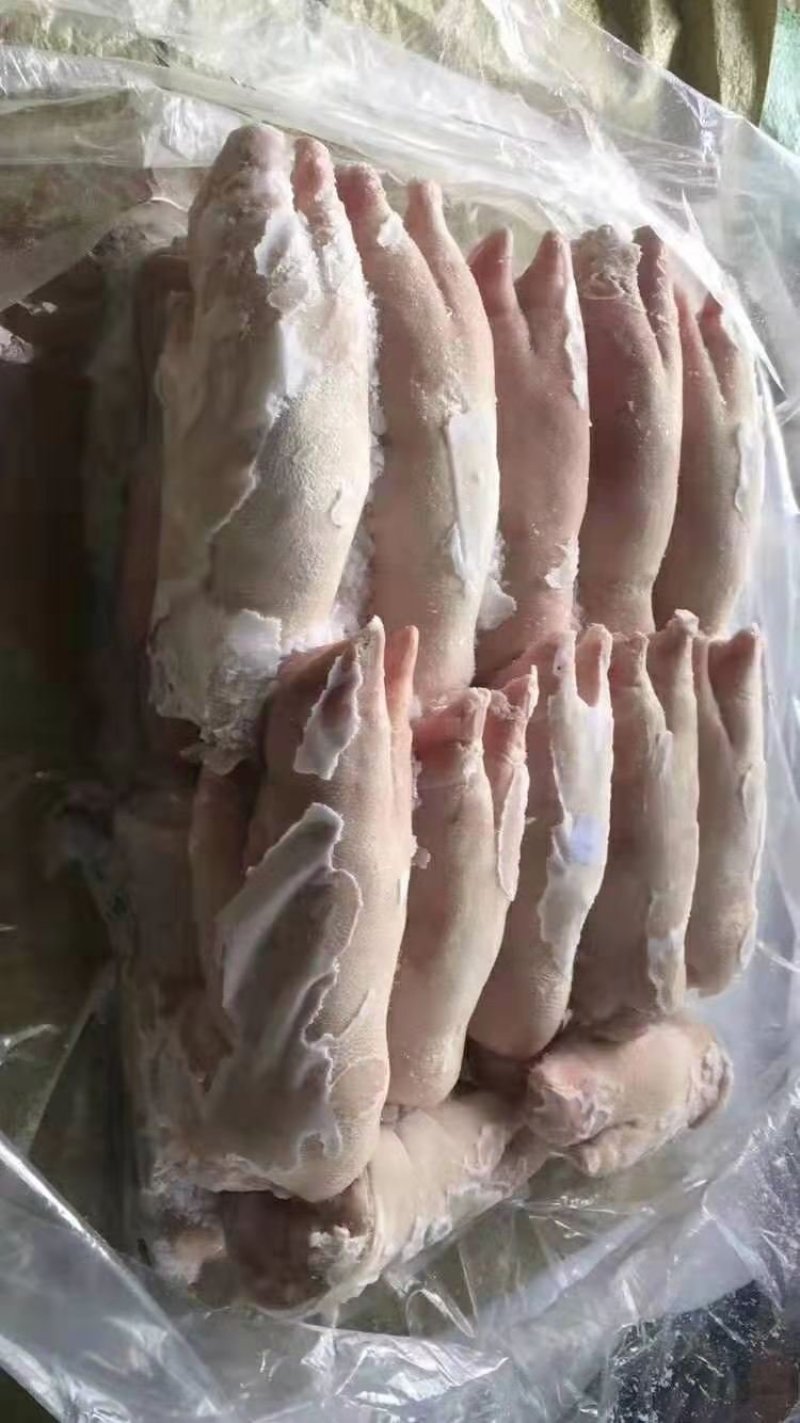 国产肥猪精修带筋肥猪蹄