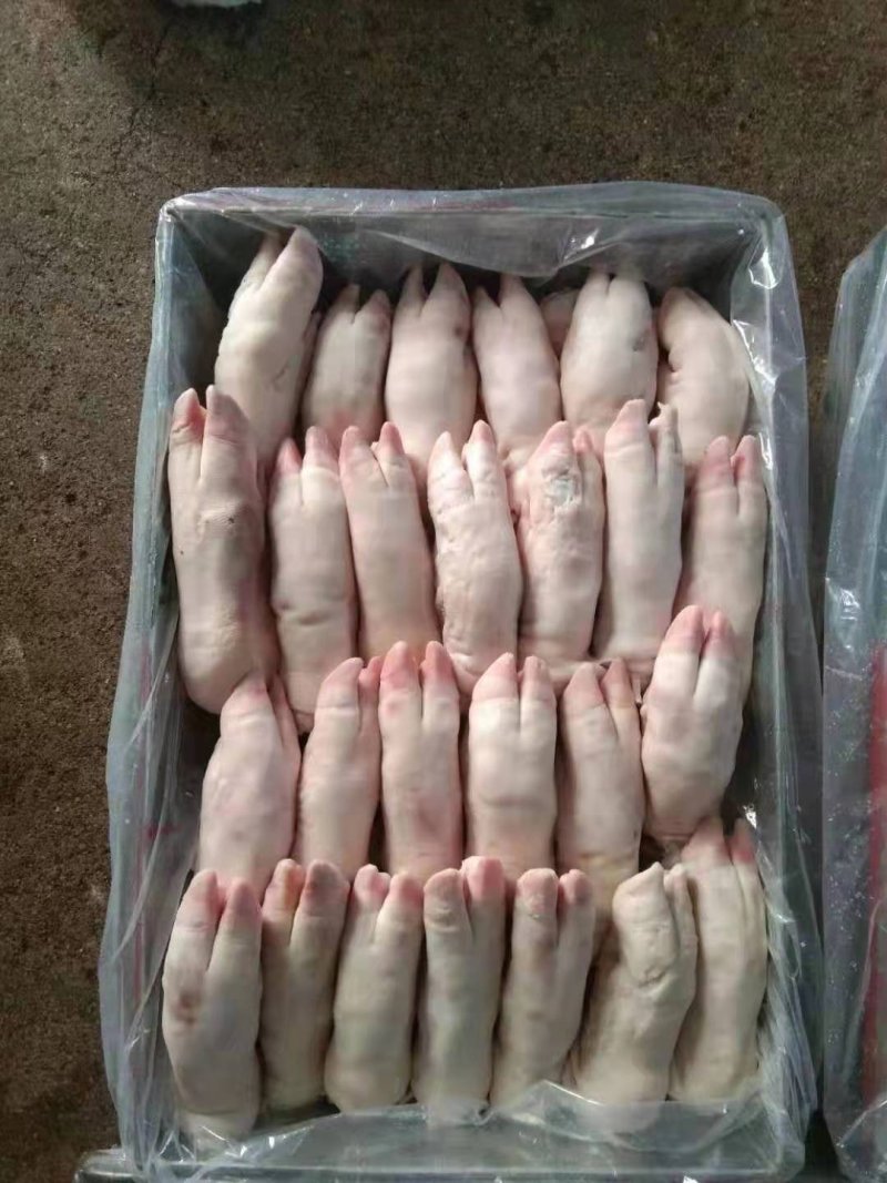 国产肥猪精修带筋肥猪蹄