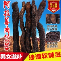 阿拉善肉苁蓉泡酒中药材油苁蓉，一手货源，欢迎下单