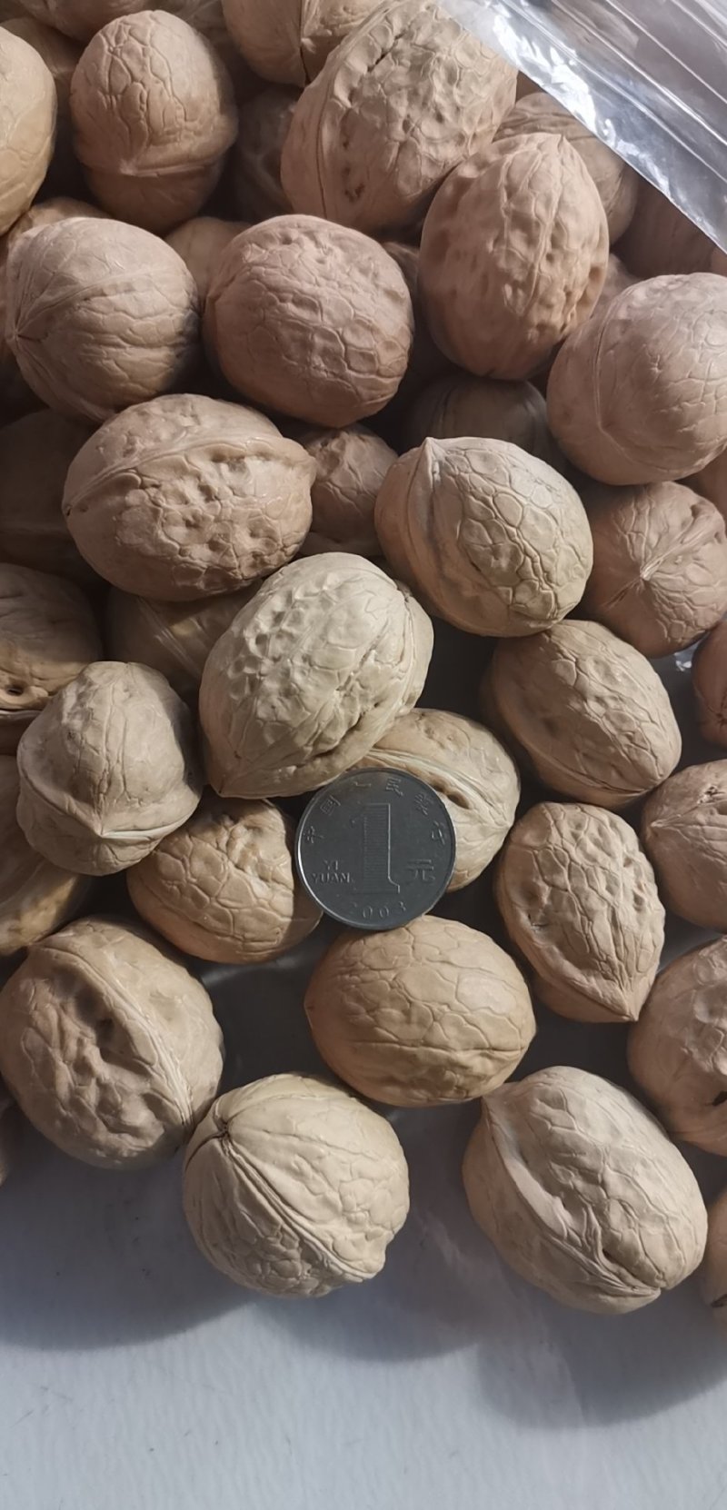 新疆核桃/新疆薄皮核桃，质量好，货量大优质核桃，全国发货