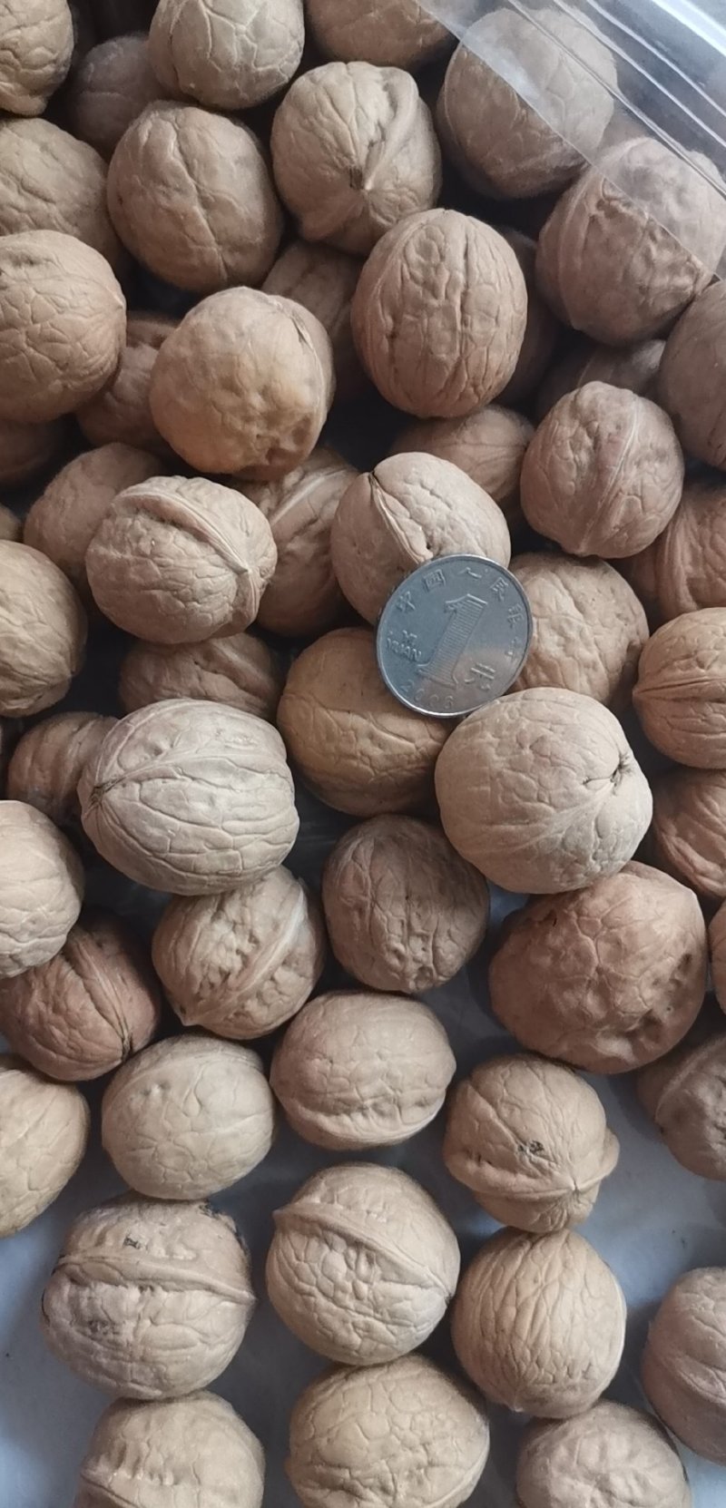新疆核桃/新疆薄皮核桃，质量好，货量大优质核桃，全国发货