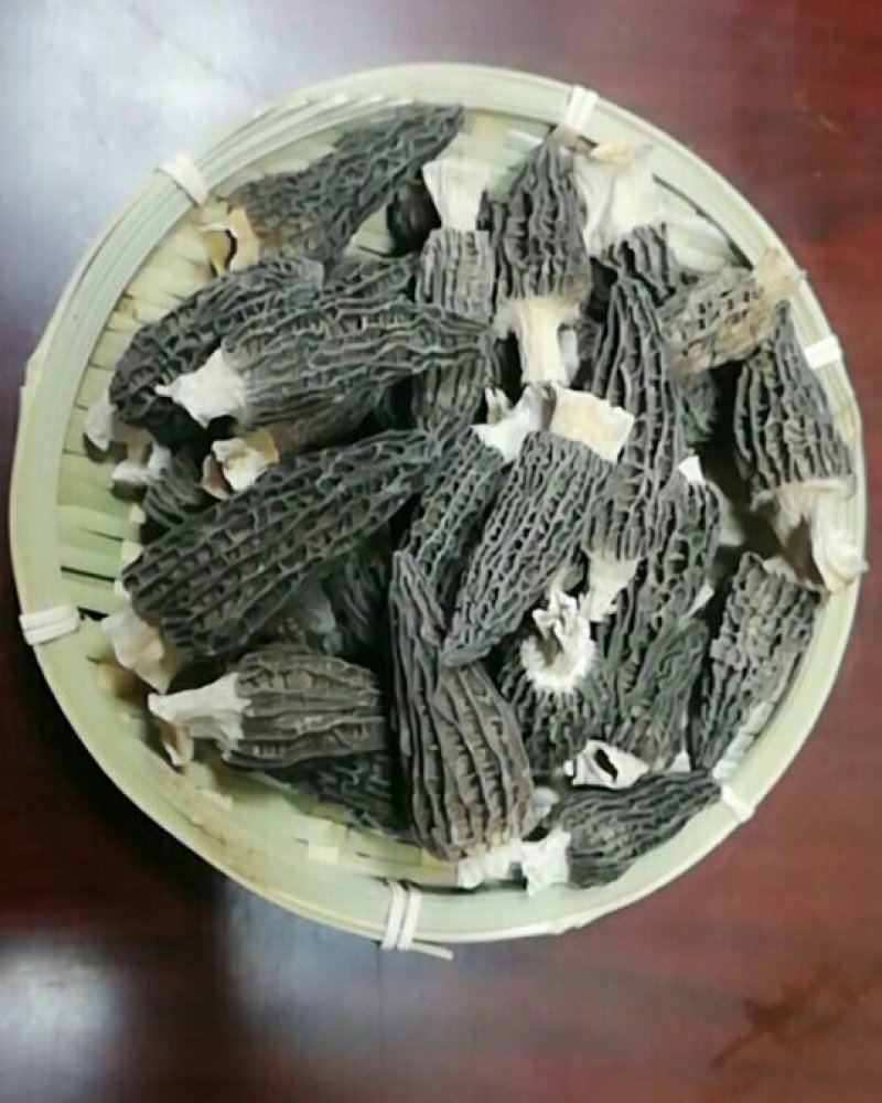 精品手选羊肚菌