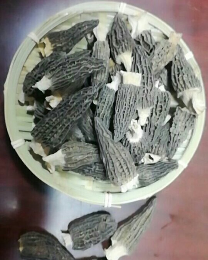 精品手选羊肚菌