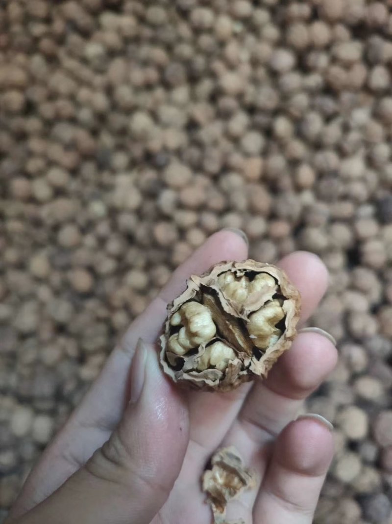 云南昆明禄劝核桃仁
