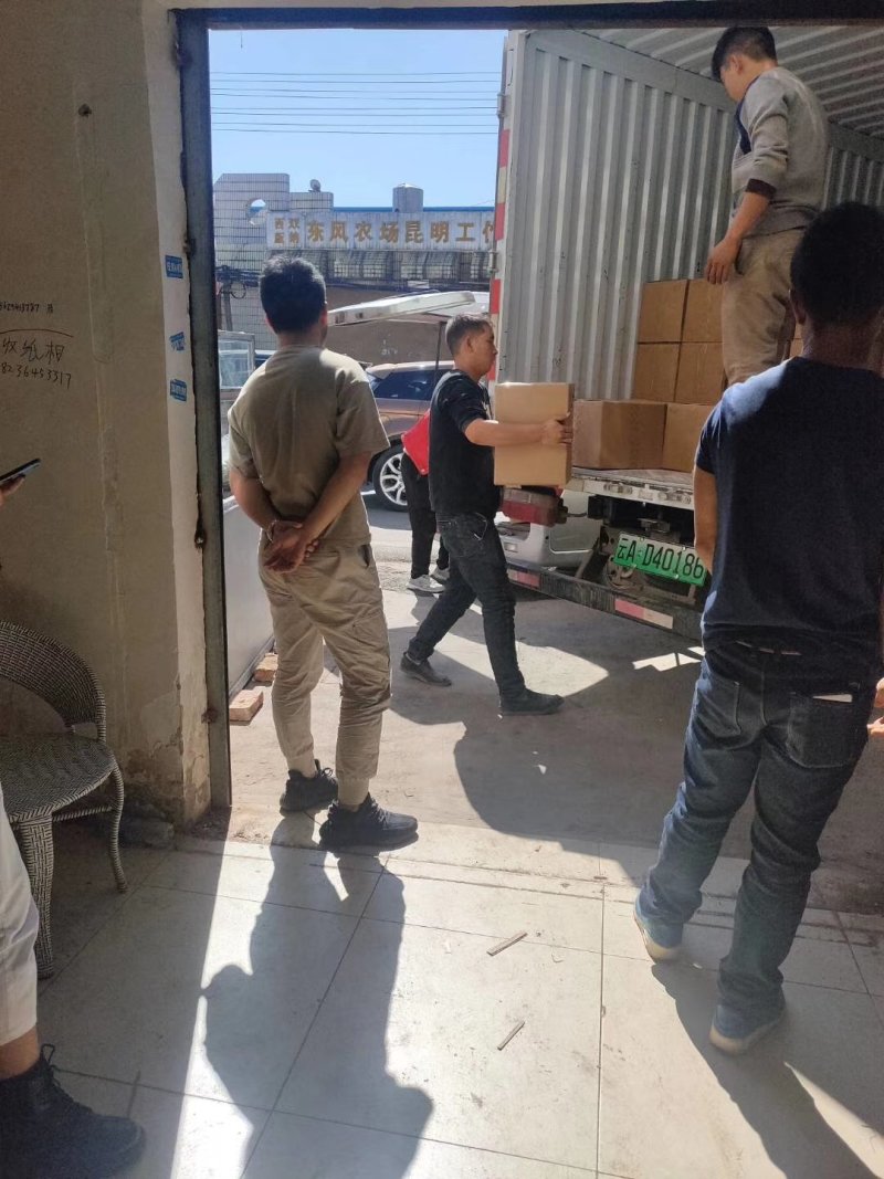 云南昆明禄劝核桃仁