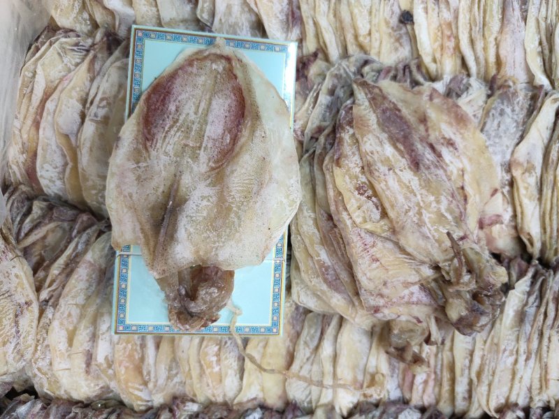 【一手货源】广东烧烤鱿鱼干专用批发