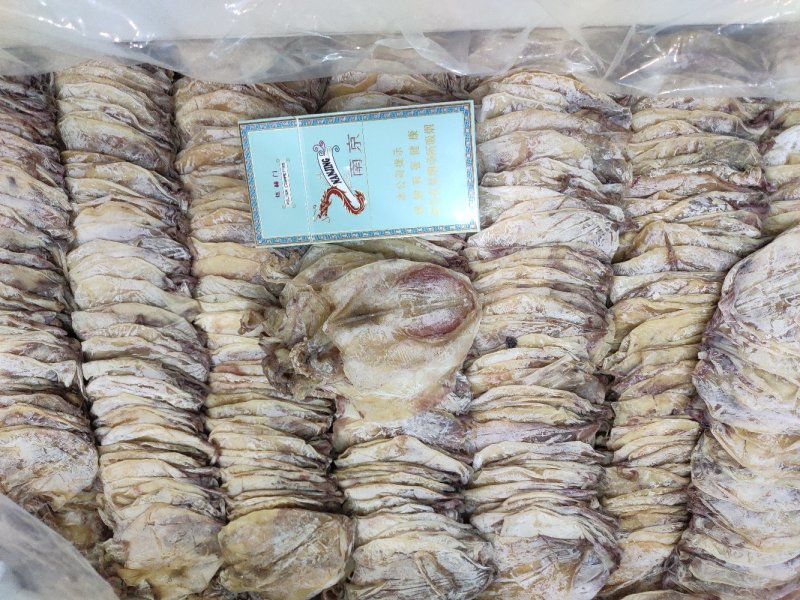 【一手货源】广东烧烤鱿鱼干专用批发