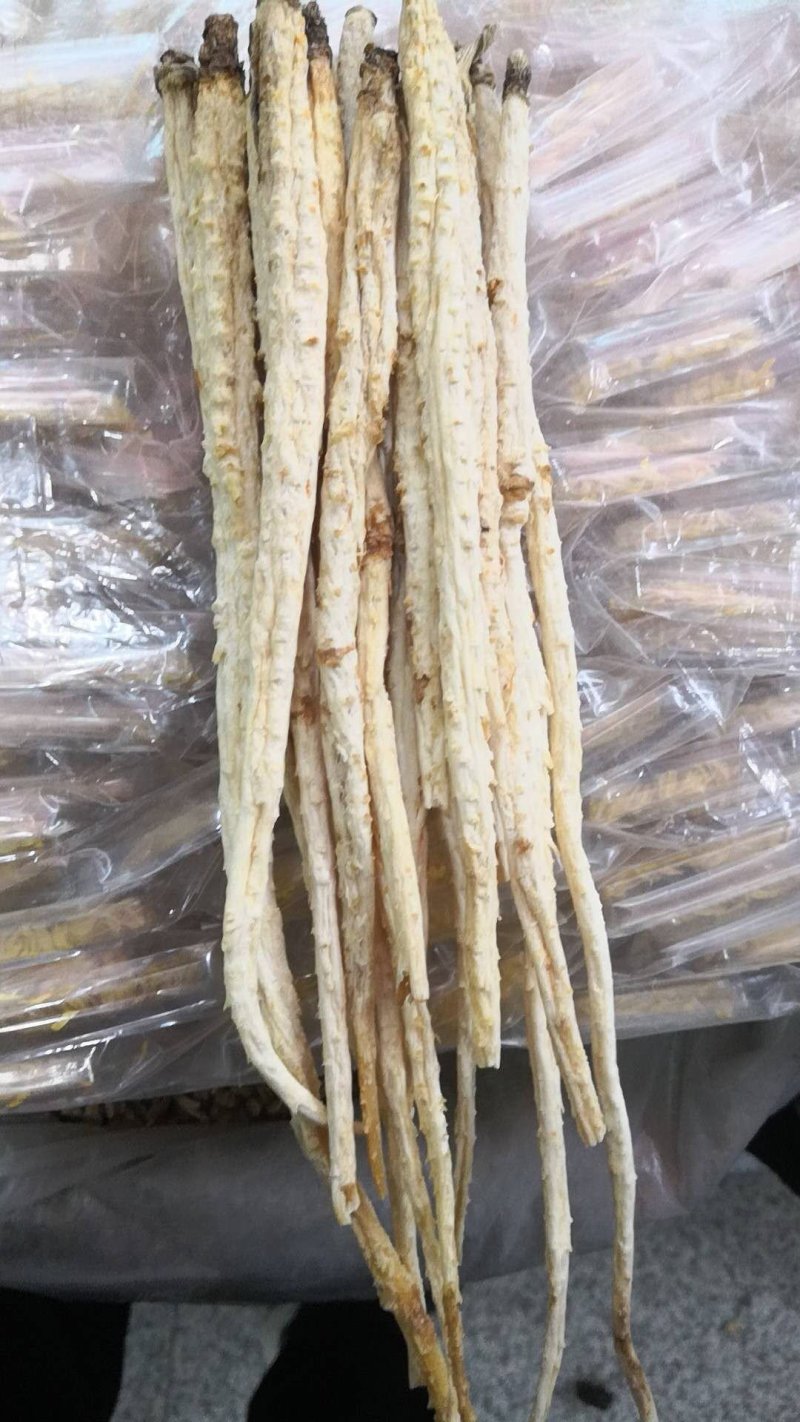 北沙参河北1公斤起批无硫无添加不包邮正品