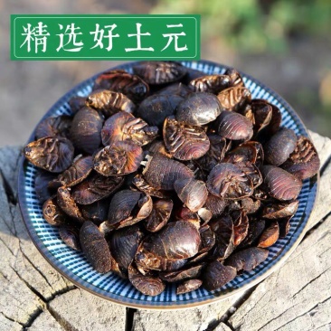土元土鳖虫地鳖虫土鳖虫精选净货正品质量