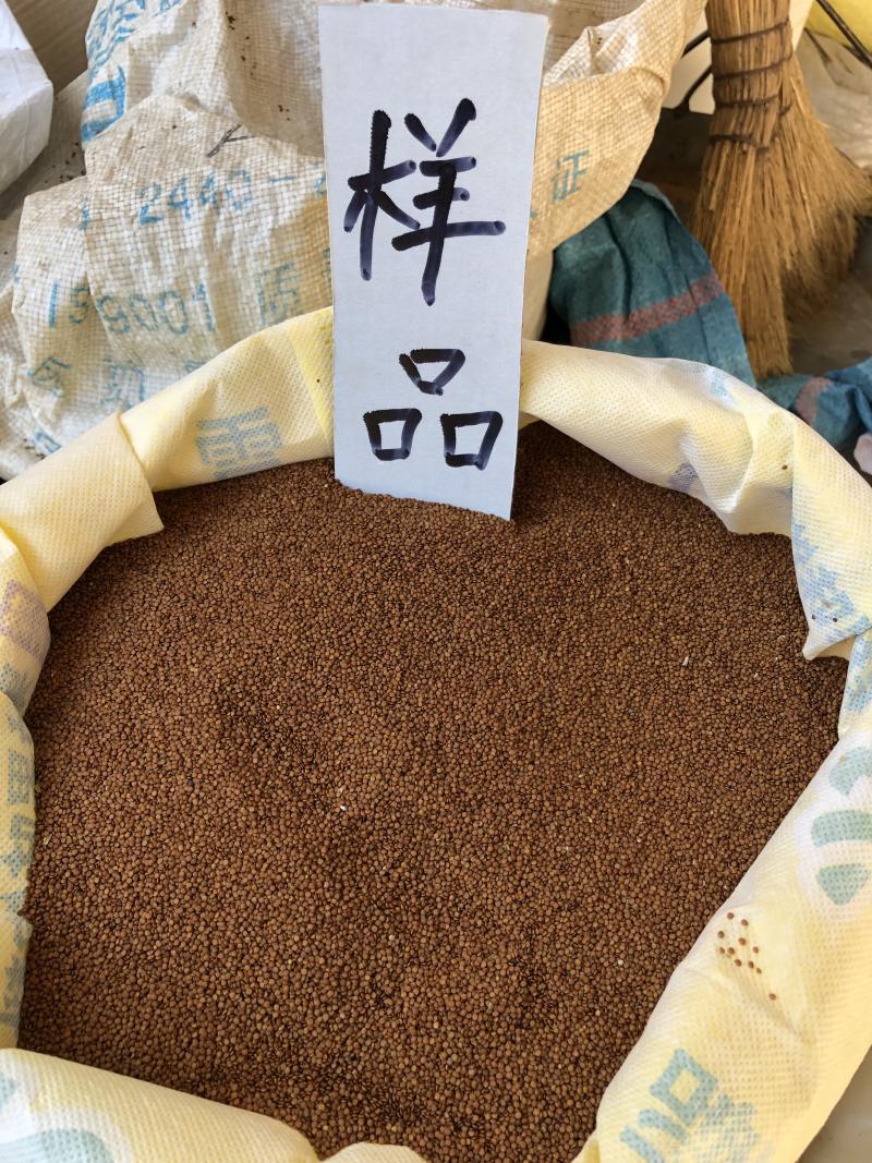 冰籽，木瓜籽，石花籽，假酸浆种子