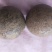 羊结石羊宝羊结石药用价值高风干无任何破坏完好无
