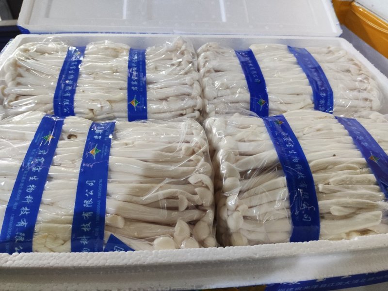 海鲜菇