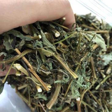 鬼针草粘人草无硫各种中药材批发零售各种规格