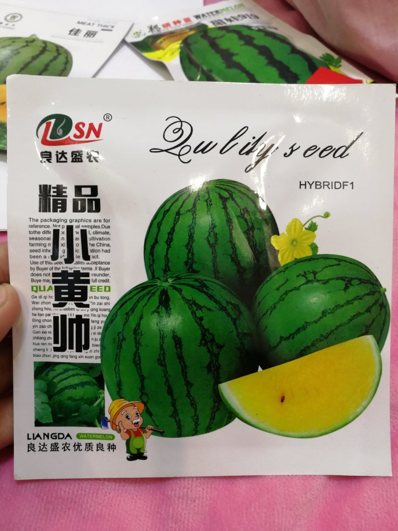 【优质】黄壤西瓜种子单个4-5斤左右花皮黄壤西瓜种子