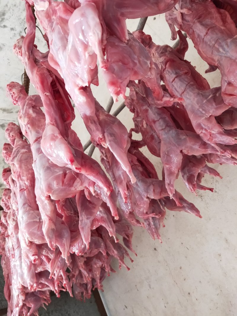 新鲜兔肉(湖北枣阳基地直供冷鲜兔肉)量大从优欢迎来电