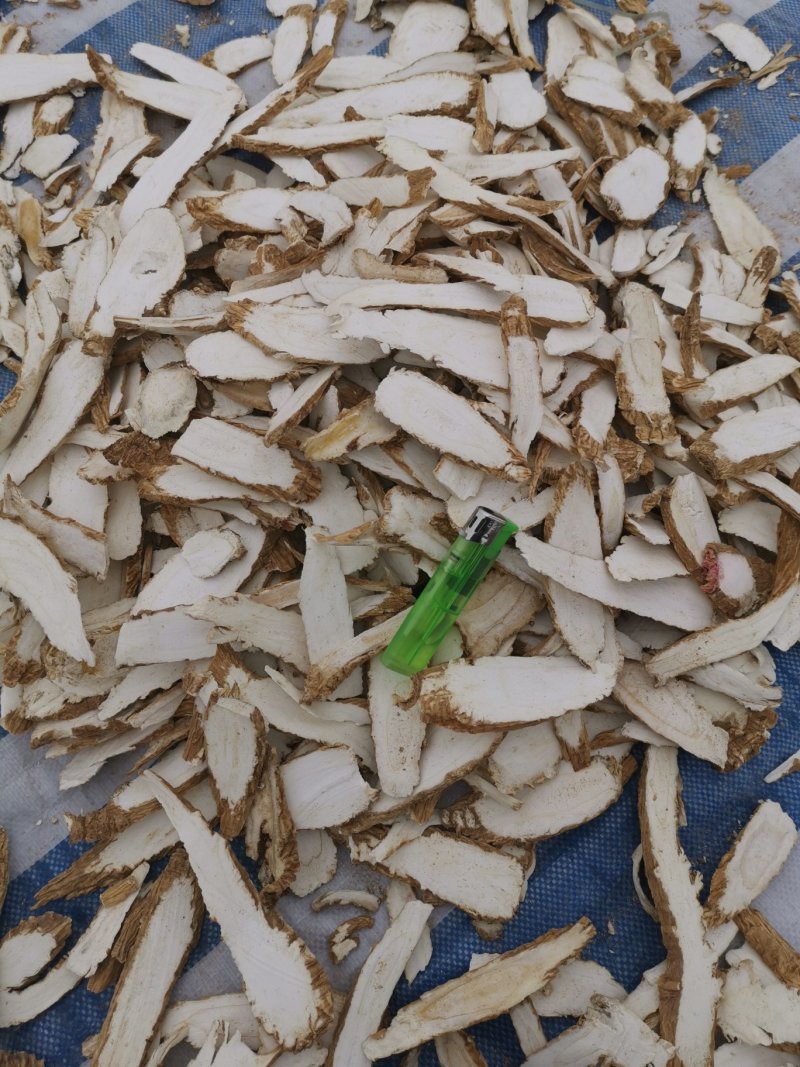 常年供应白芷片各种规格可订购长片圆片都有