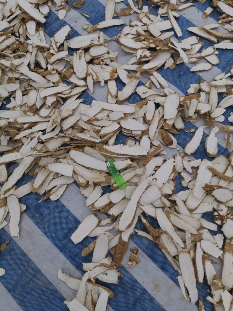 常年供应白芷片各种规格可订购长片圆片都有
