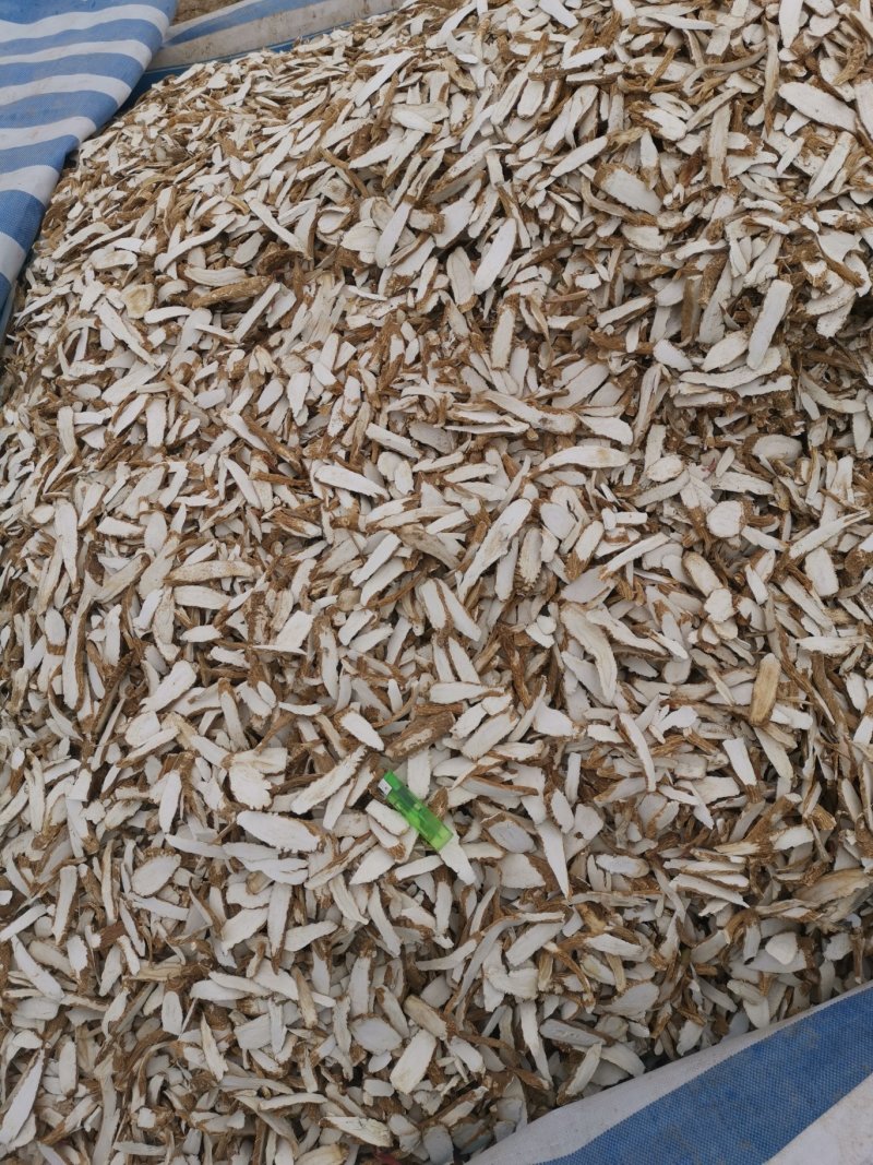 常年供应白芷片各种规格可订购长片圆片都有