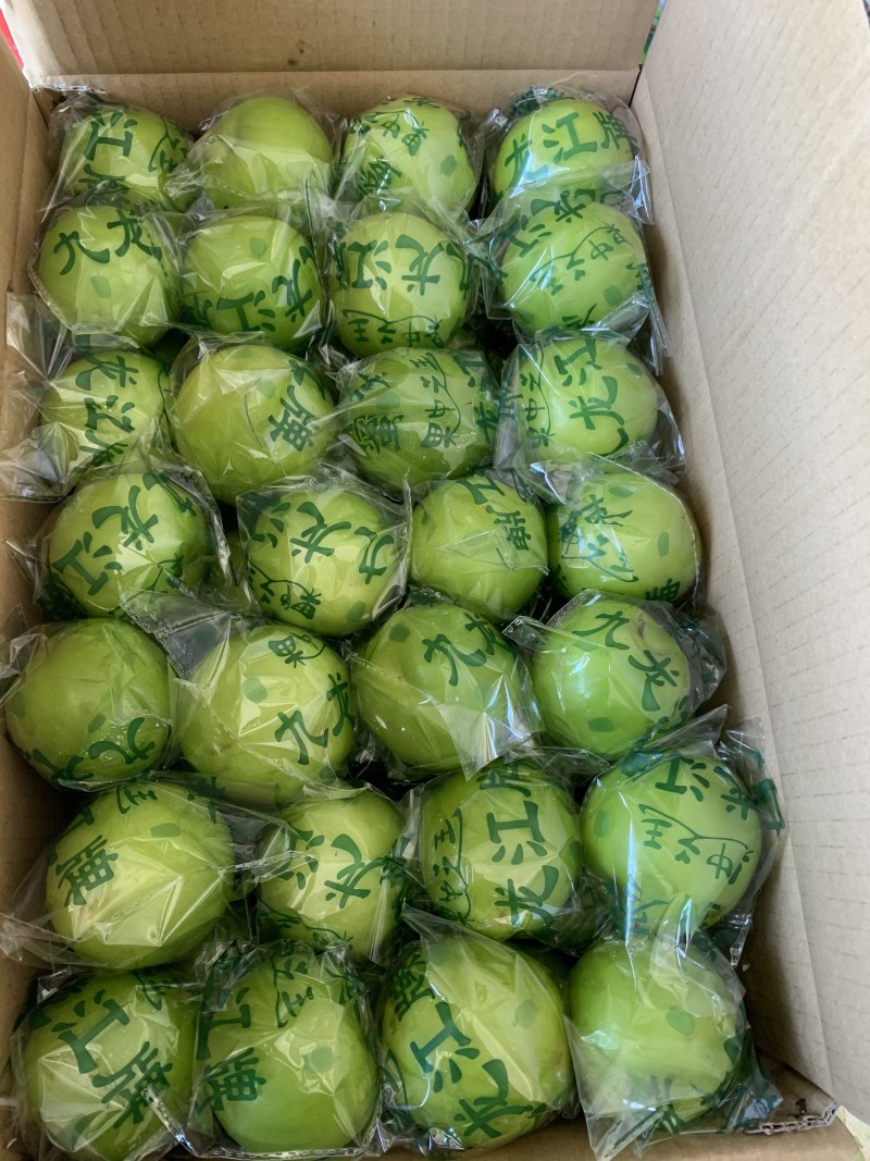 牛奶枣大青枣台湾蜜枣