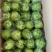 牛奶枣大青枣台湾蜜枣