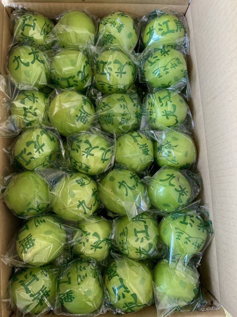 牛奶枣大青枣台湾蜜枣
