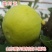 日本紫果无花果苗品种无花果苗波姬红无花果苗包成活包品种