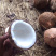 海南椰子6个装新鲜当季水果去皮椰青有椰宝可煲汤榨果汁