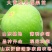 砂糖无花果苗好吃好看盆栽地栽南北方种植无花果苗波姬红果树