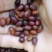 大籽皂角，大刺，精选