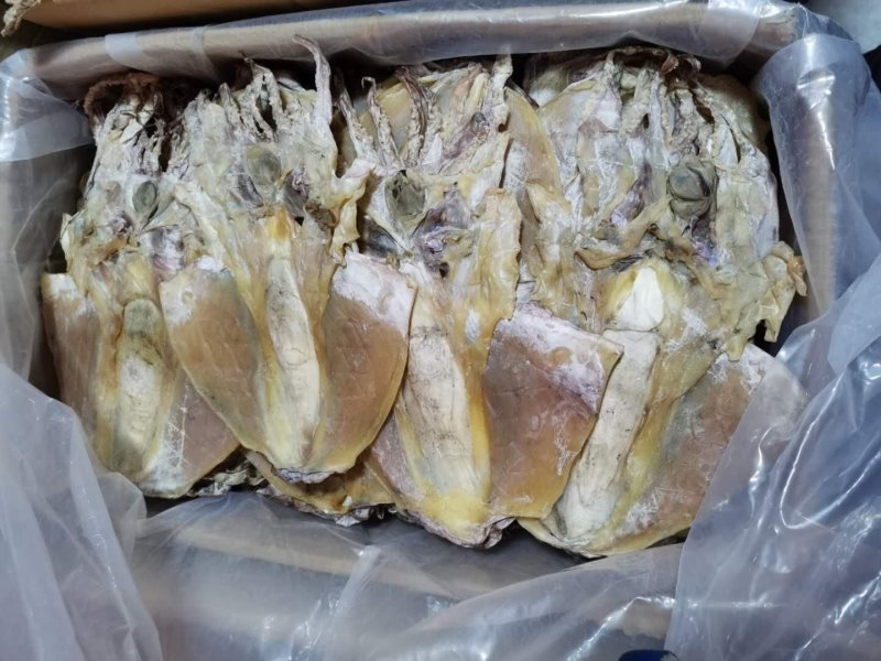 浙江东海半淡干大墨鱼-（个头大盐分轻颜色漂亮个头匀称。