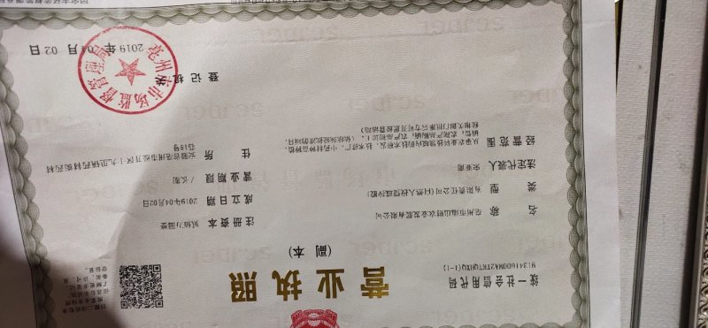 白芍种苗
