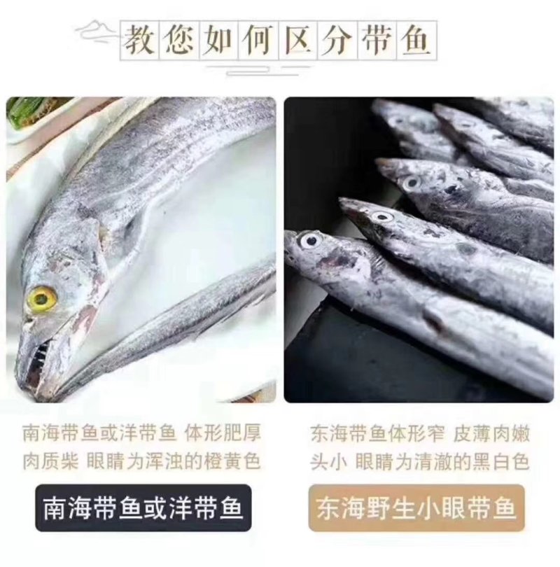 东海带鱼大规格干冰条冻东海国产带鱼没包冰不包运费量大从优