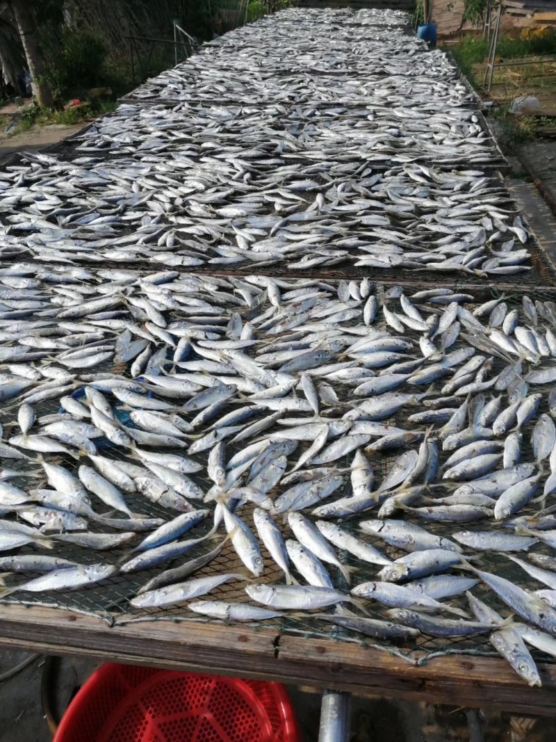 巴浪鱼干淡味即食干货