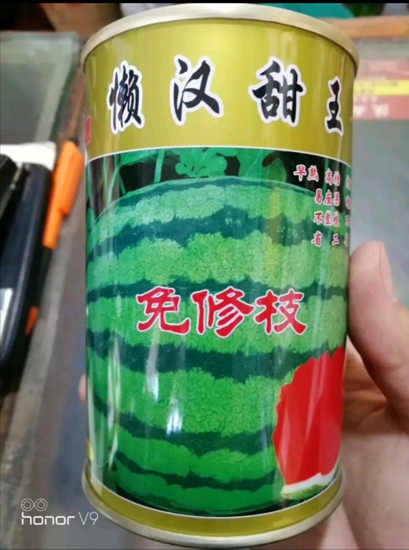 福园一号西瓜种子果实圆形抗病性强皮薄大红瓤50克