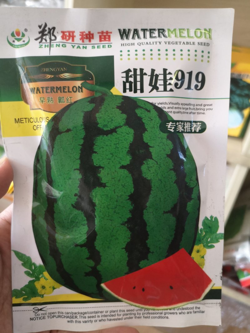 福园一号西瓜种子果实圆形抗病性强皮薄大红瓤50克