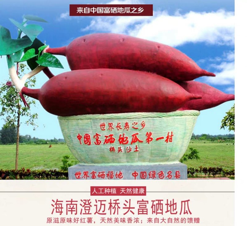 新鲜农家海南桥头地瓜日式板栗薯2/5/10斤包邮一件代发