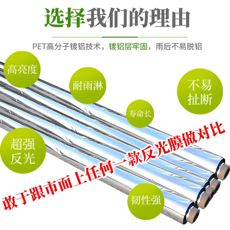 农用反光膜大棚补光膜草莓苹果大棚蔬菜反光膜