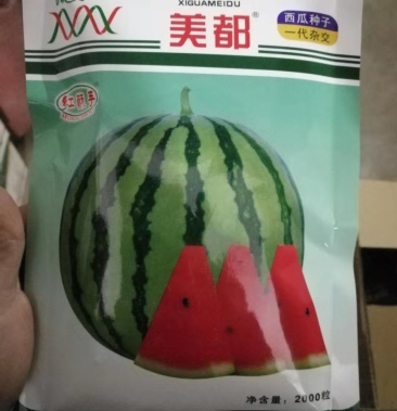 [8424西瓜种子批发]【精选】美都 早佳8424 西瓜种子甜度高 皮薄且韧抗病价格120.00元/袋 - 一亩田