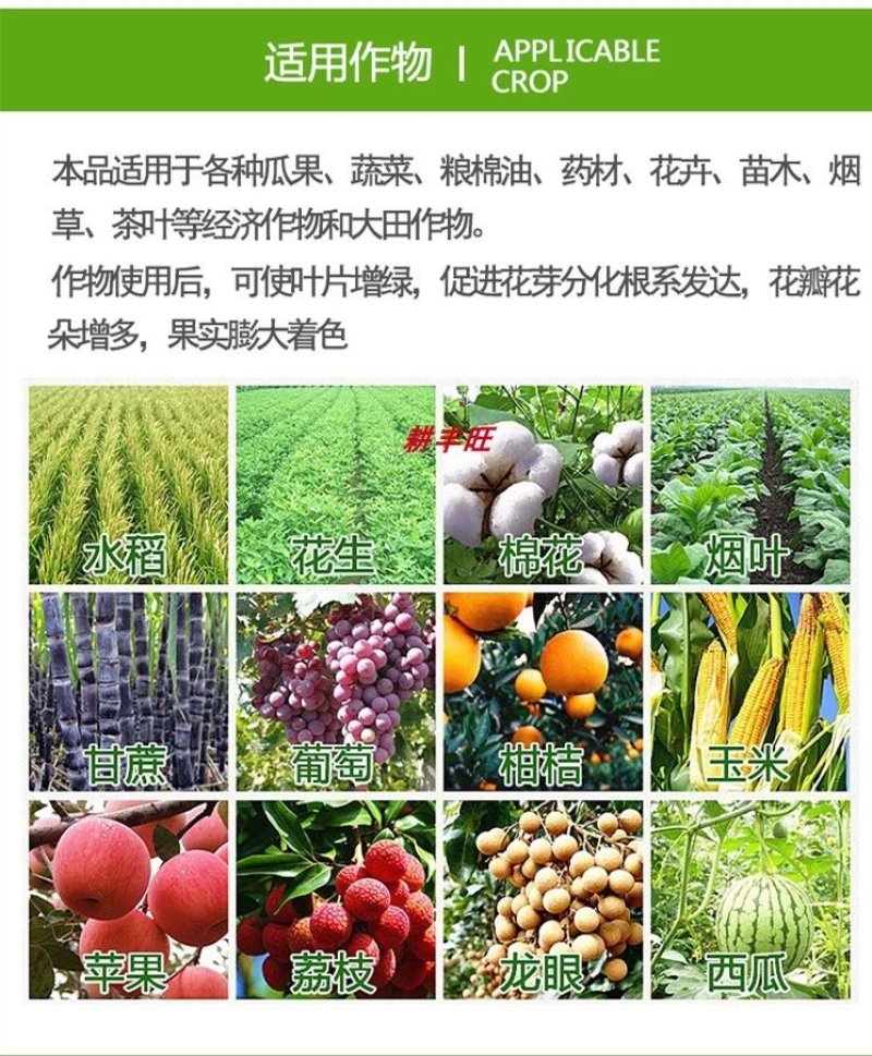 5%苄氨基嘌呤细胞分裂素生长花芽分化保花保果膨大素包邮