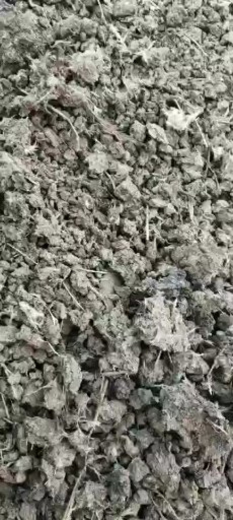 山东省德州市夏津县出售砖地自然凉晒的干鸡粪