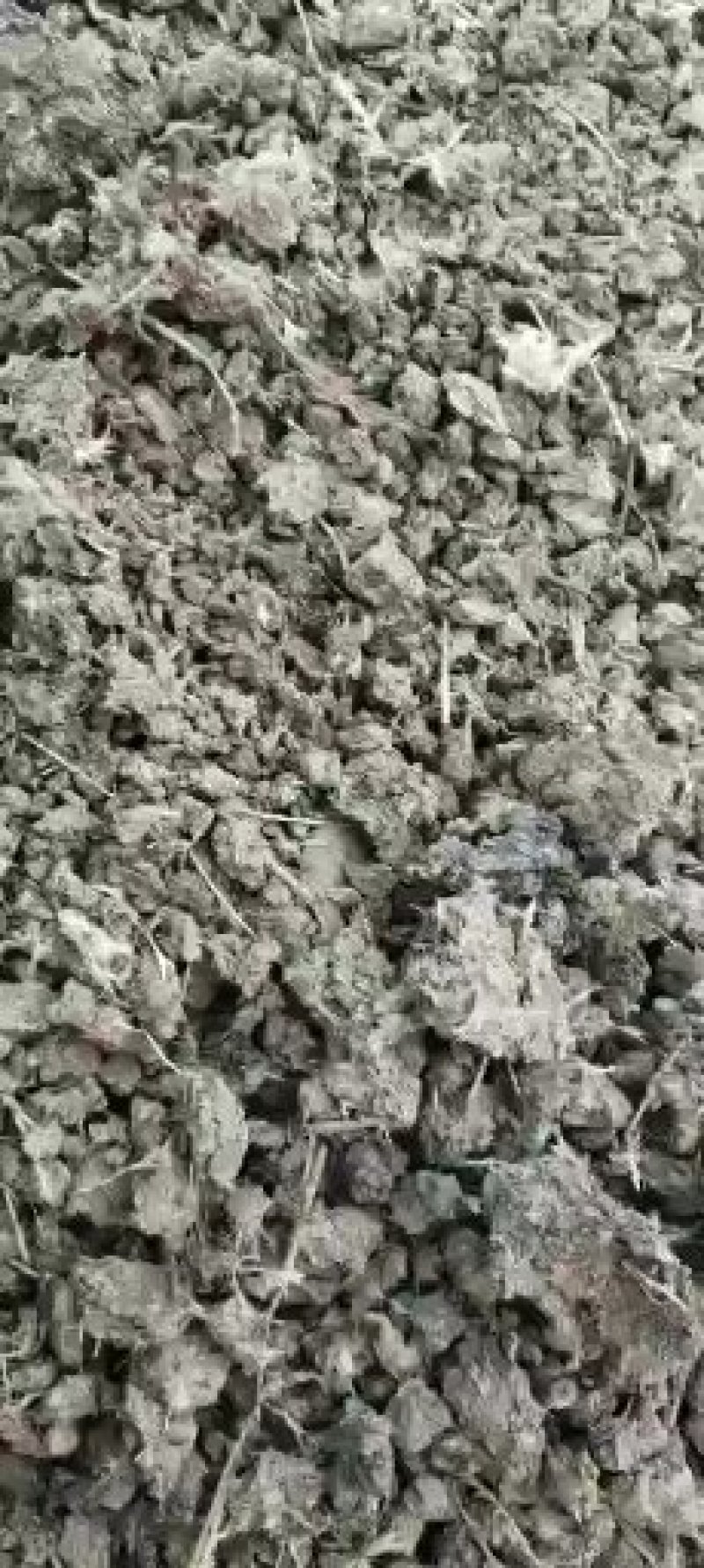 山东德州有机肥干鸡粪厂家直销