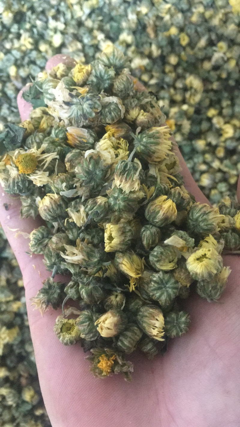 苏北菊胎菊大货每件10公斤质量中等产地直供批发价